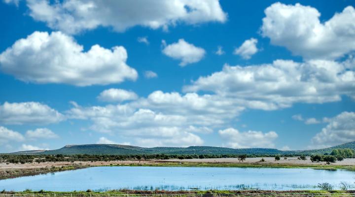 Toeka Wedding and Functions Venue