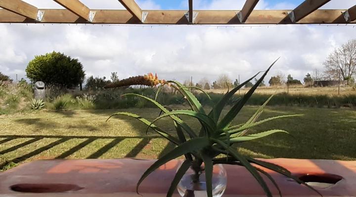 The Studio at The Aloes Farm