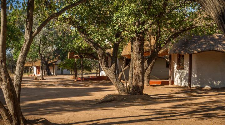 Wild Ride Safaris and Bush Camp