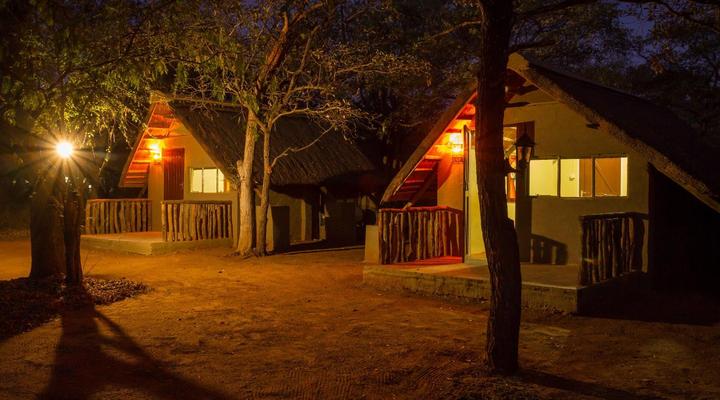 Wild Ride Safaris and Bush Camp