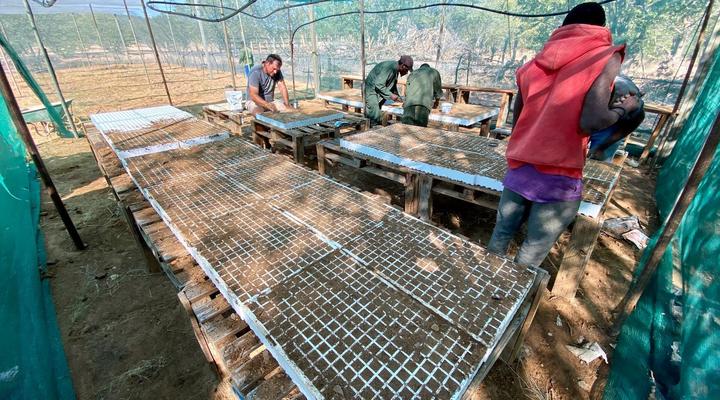 Kaoko Mopane Lodge & Campsite