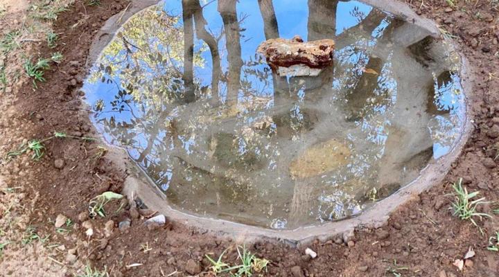 Kaoko Mopane Lodge & Campsite