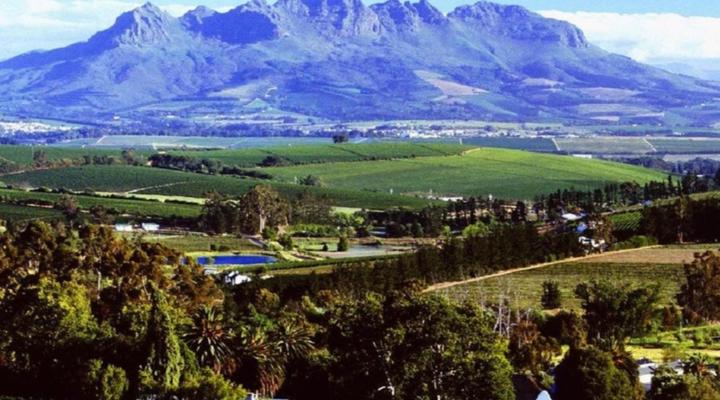 Lux Andringa Walk Apartments