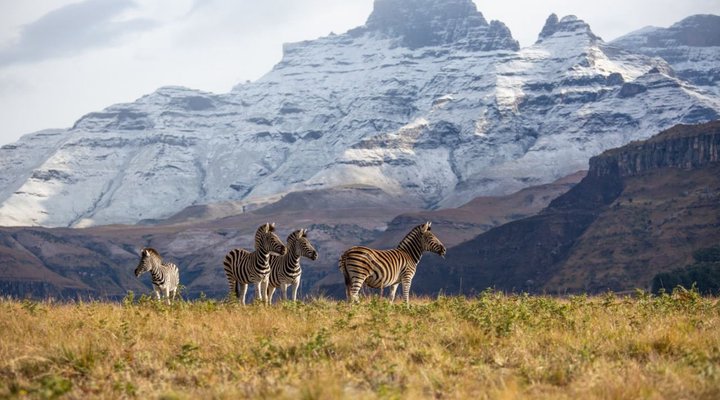 Drakensberg House