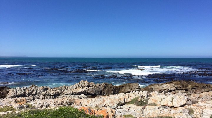 Wild Ocean Self Catering