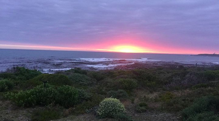 Wild Ocean Self Catering