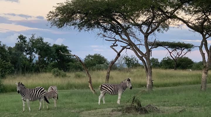 Ndhula Luxury Tented Lodge