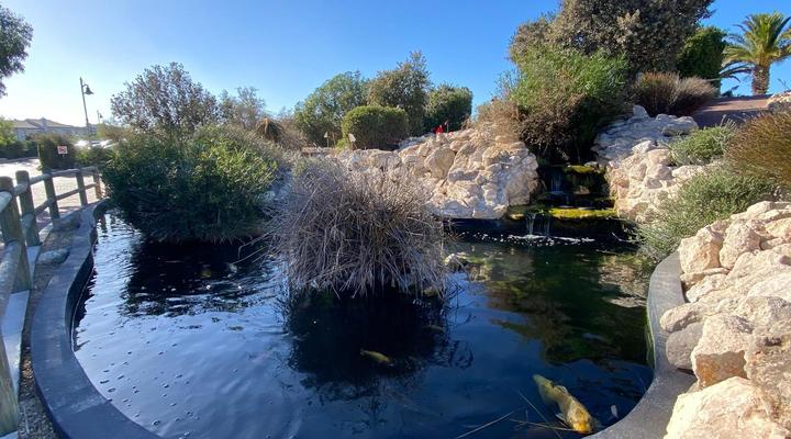 Santa Maria - Langebaan County Estate