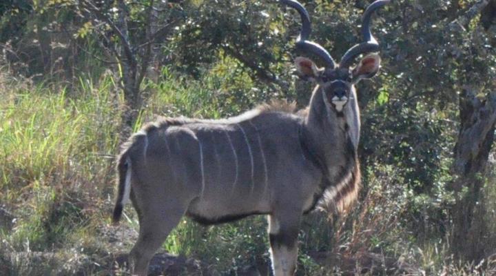 Elandsvlei Estate Farmhouse