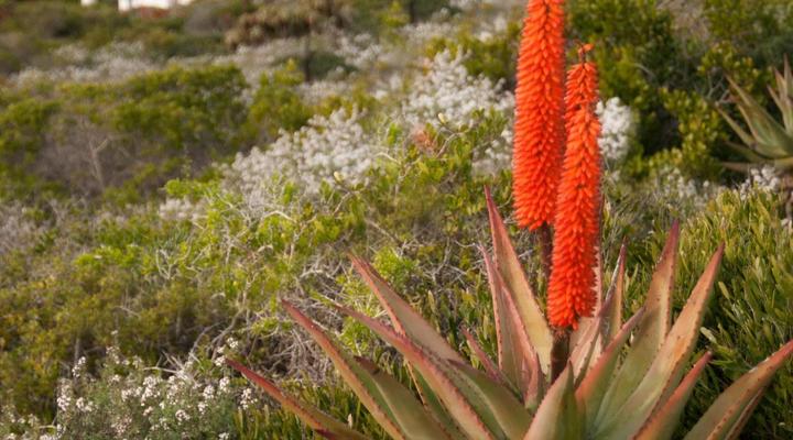 Oystercatcher Trail Accommodation