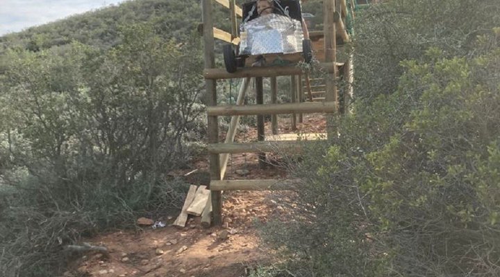 The Travelling Tortoise