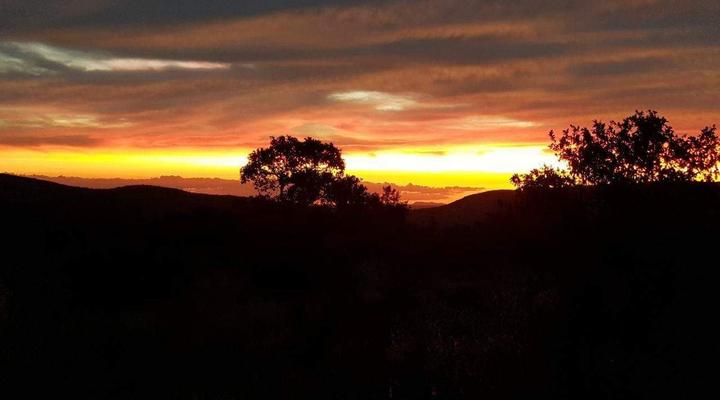 Milkwood Safari Lodge, Mabalingwe