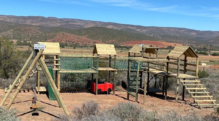 The Travelling Tortoise