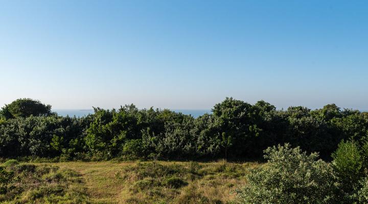 254 Ocean Dune - Sibaya Umdloti