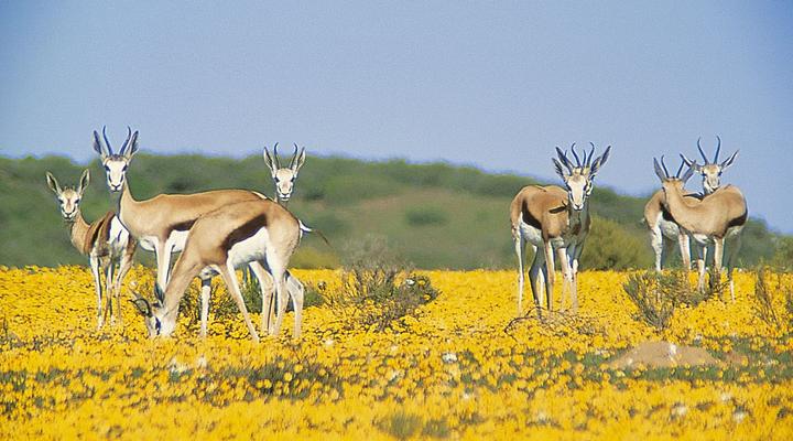 Bushmans Kloof Wilderness Reserve & Wellness Retreat