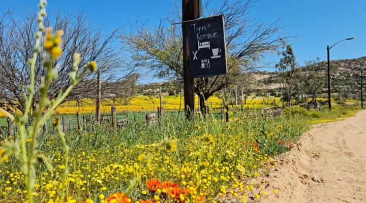 Thys'e Kombuis & Guest House