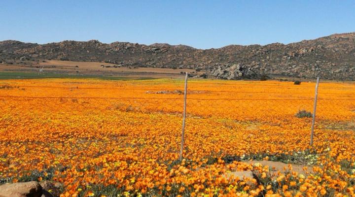 Thys'e Kombuis & Guest House