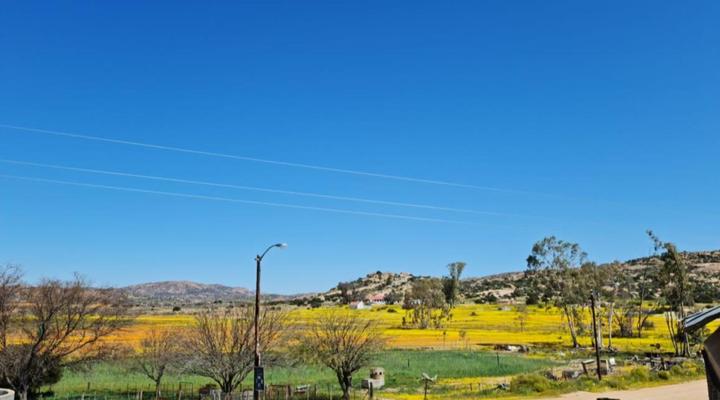 Thys'e Kombuis & Guest House