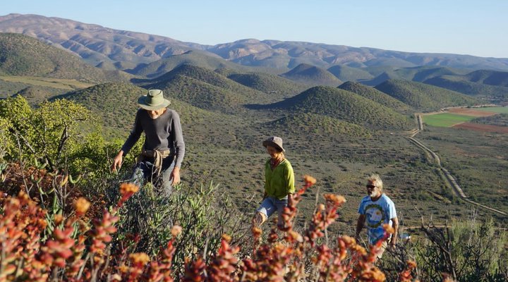 Numbi Valley De Rust Farmstay
