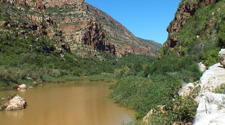 Bucklands Guest Farm