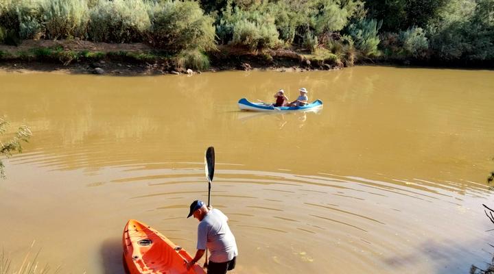 Bucklands Guest Farm