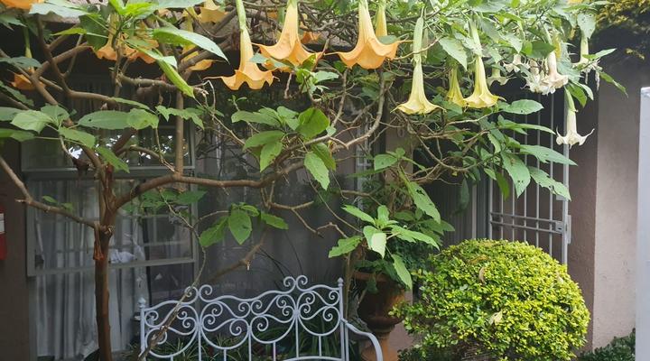 Karelize Executive Suites