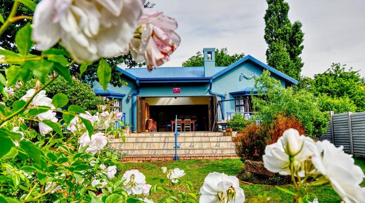 Golden View - Oak on Church