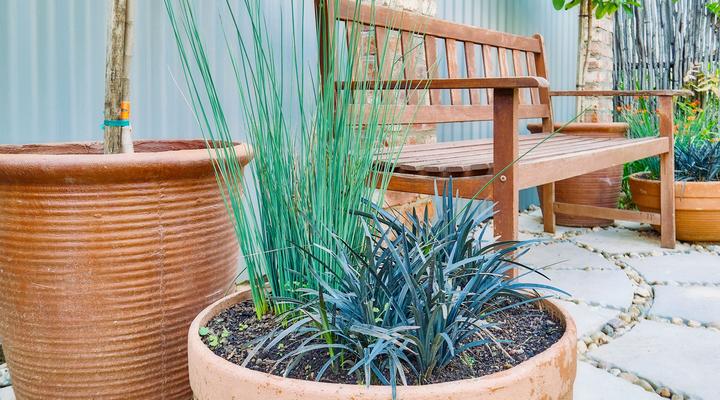 Golden View - Oak on Church