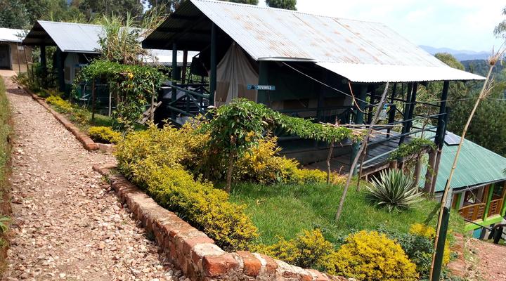 Ruhija Gorilla Friends Lodge and Campsite