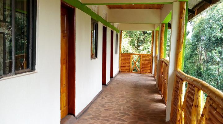 Ruhija Gorilla Friends Lodge and Campsite