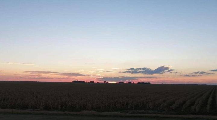 Wildebeespan Bed and Breakfast