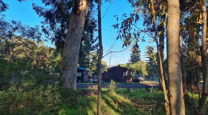 Hoogeland's Wood Cabins