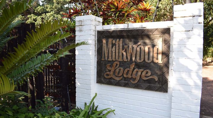 Milkwood Lodge 6