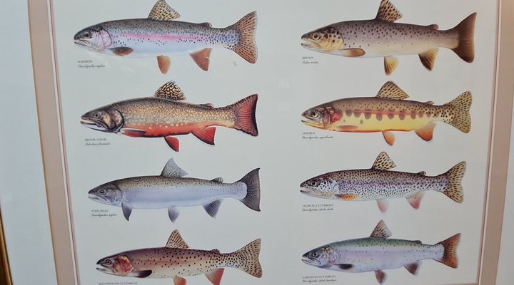 Dullstroom Country Estate's Stone Castle