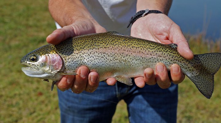 Dullstroom Country Estate's Stone Castle