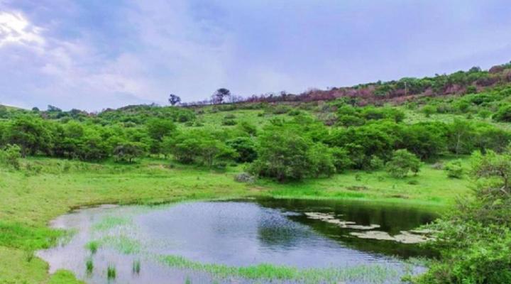 Simbonga Game Reserve & Sanctuary