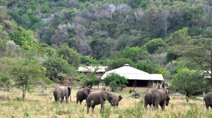 Entumoto Safari Camp