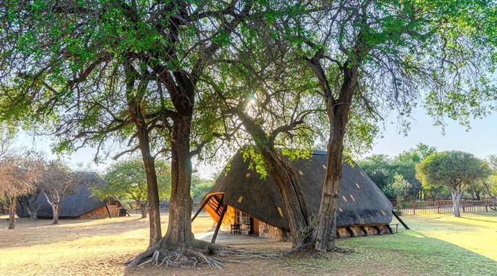 Bonwa Phala Game Lodge
