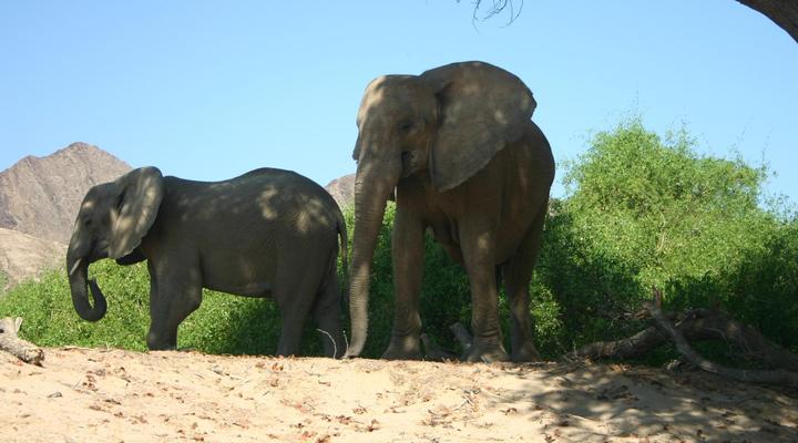 Fort Sesfontein Lodge