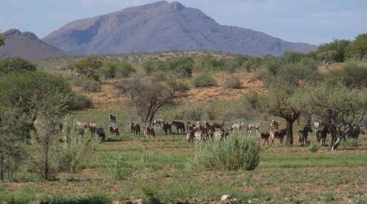 Rooisand Desert Ranch