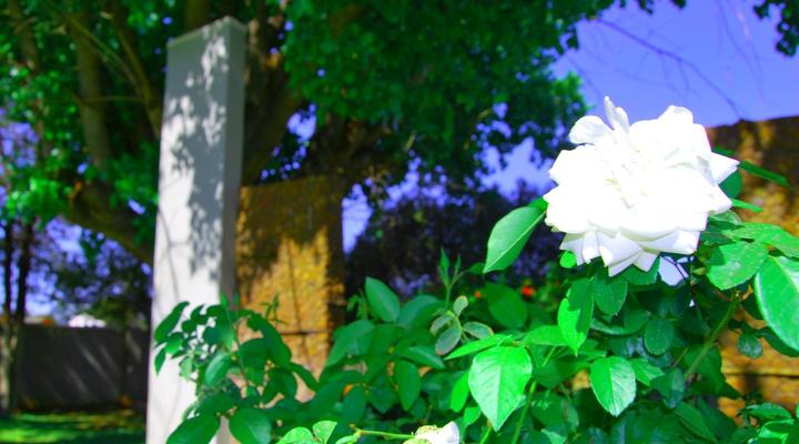 Stokkiesdraai Guest House