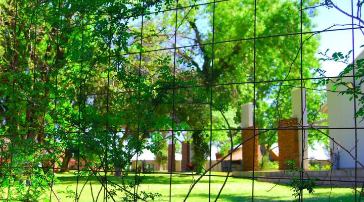 Stokkiesdraai Guest House