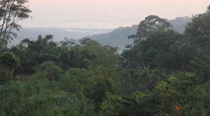 Le Residence De Josephine