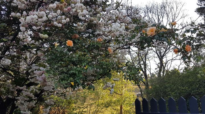 Ultima Thule-Cottages