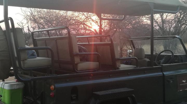 Golden Impalas Bush Resort