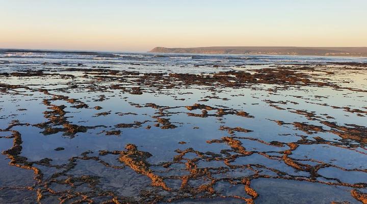 @ The C right on the C