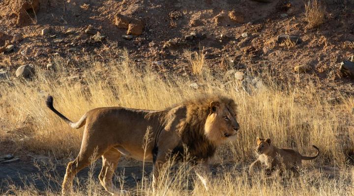 Magic Hills Private Collection