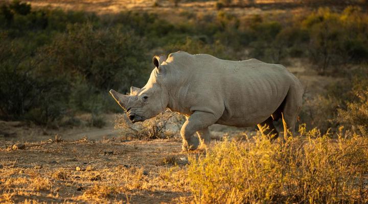 Magic Hills Private Collection