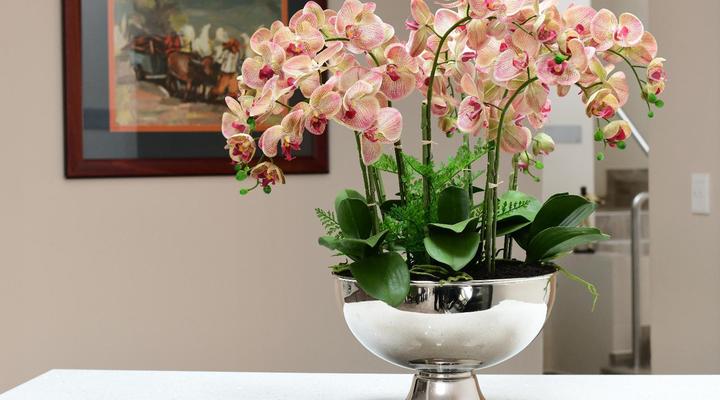 RNB Boutique Guesthouse