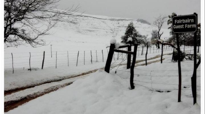 Fairbairn Guest Farm